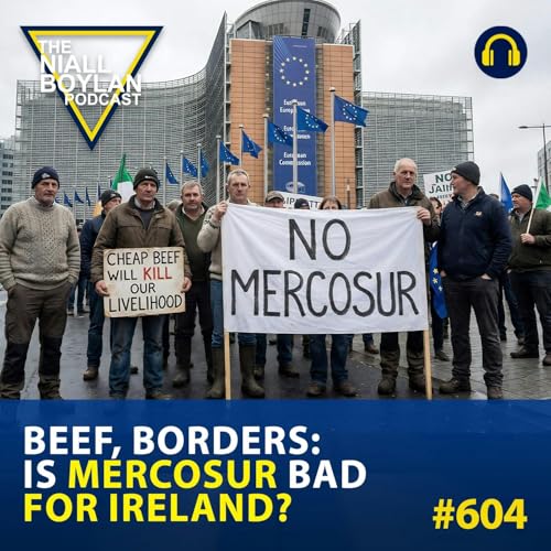 #604 Beef, Borders: Is Mercosur Bad for Ireland?
