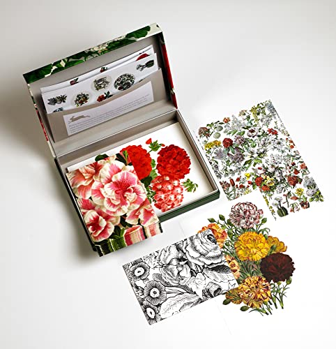 Flower Prints: Letter Writing Set / Briefpapier Set / Set de Correspondence (PEPIN LETTER WRITING SETS)