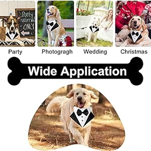 Formal Dog Tuxedo Wedding Bandana Costume Puppy Collar with Bow Tie Pet Graduation Dress-up Adjustable Neckerchief for Small Medium Large Dogs Cats (Medium) Formal Dog Tuxedo Wedding Bandana Costume Puppy Collar with Bow Tie Pet Graduation Dress-up Adjustable Neckerchief for Small Medium Large Dogs Cats (Medium)