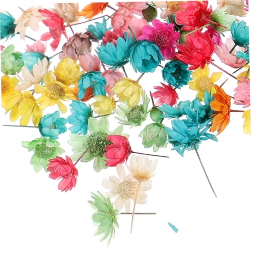 Hemobllo Bouquet De Fleurs Séchées Roses pour Fabrication De Bougies Et Artisanat Plantes Séchées Pressées pour Décoration De Maison Et Cadeau Créatif