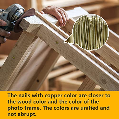 Tuplip Fe- Finishing Nails 1-3/4''Inch X 13 Gauge (170Pcs), Brad Head Nails Hardware 5D (45Mm) Brass Plated Gold Nails, Long Nails For Picture Hanging/Wood/Frame/Plaster And Concrete Wall/Diy #TOP3