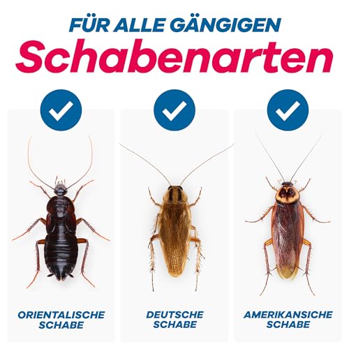 Gerobug Schabenfalle 12 STK. inkl. Ködertabletten - Kakerlakenfalle zur Befallsermittlung von Schaben in Allen Wohnräumen - Mit Ebook mit… – Ansicht 5
