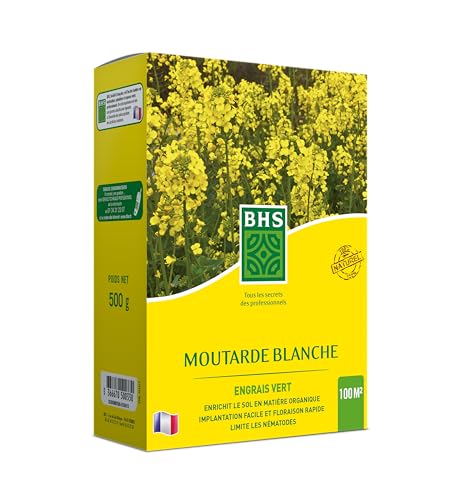 BHS Engrais verts | Moutarde Blanche | 500g | 100m² | Amélioration des Sols | Désinfecte les Sols MOU500