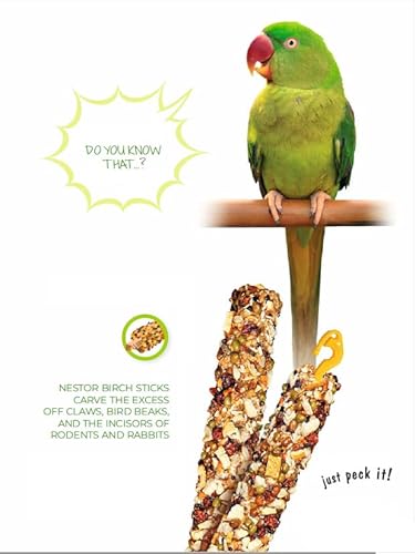 Twin Pack Cockatiel Parrot FOREST FRUITS Seed 2x Sticks Parrots Large Parakeets Cockatoo 115g Bird Food Budgie Canary Finches Seeds Birds Conures Treats Cockatiel Snacks Pack of Two + Hooks - Image 8