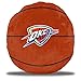 The Northwest Company NBA unisex Cloud Pillow