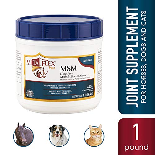 Vita Flex Pro MSM Joint Supplement | Odorless | For Horses, Ponies, Dogs