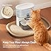 FEELNEEDY Silicone Cat & Dog Food Mat Waterproof, High Raised Edges for Leakage Protection, Dog Mat for Food and Water, Non-Slip Drip Tray, Easy Clean 18 * 12 * 0.5 inches Feeding Pad (Small, Beige)