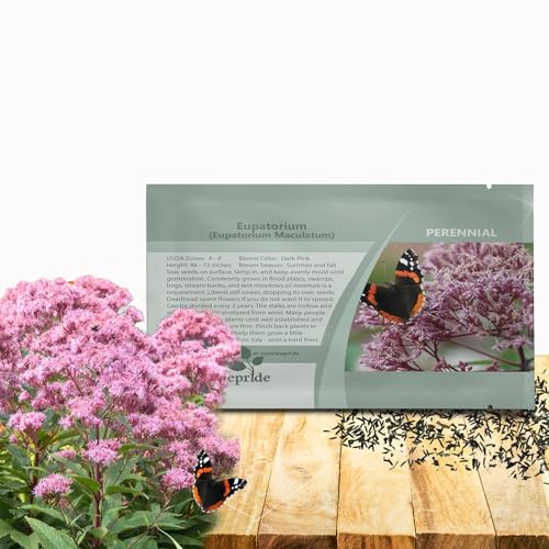 Outsidepride Joe Pyeweed Seeds