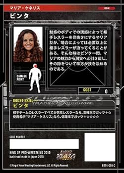 バーチャルプロレスアメリカ輸入版　激レア‼️ 新日本プロレス】ボルチン・オレッグ vs KONOSUKE TAKESHITA