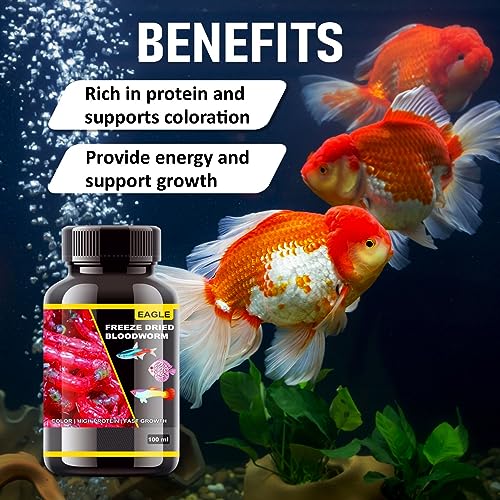Image of VAYINATO Eagle Freeze Dried Blood Worm Fish Food 100ML (35g) | (Pack of 1) High Protein Nutritious Food for Tropical, Betta & Aquarium Fish | Suitable for All Life Stages