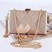 Eulihent Bolso Fiesta Borla Bolso de Mano de Noche para Mujer Bolsos Fiesta Dorado Satén con 2 Cadena Clutch fiesta Pequeño Bolsos de Mano para Boda Noche Cóctel Graduación Prom Imagen de Eulihent Bolso Fiesta Borla Bolso de Mano de Noche para Mujer Bolsos Fiesta Dorado Satén con 2 Cadena Clutch fiesta Pequeño Bolsos de Mano para Boda Noche Cóctel Graduación Prom