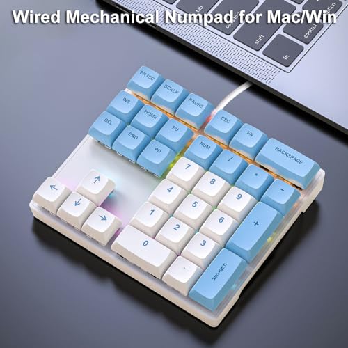 LINKEET Mechanical Numpad Rainbow Backlit Smooth Red Switches Wired USB Number Pad 33-Key NKRO Numeric Keypad with XDA PBT Keycaps External Keyboard Num Pad for Laptop, Mac - White Blue by LINKEET - Image 2