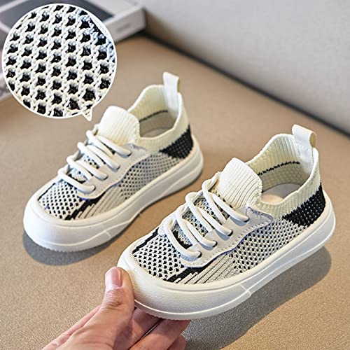 Toddler Boys Girls Toddler Lace-Up Sneakers Little Kids Lightweight Walking Shoes Mesh Breathable Tennis Shoes2