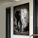  Art animalier toile peinture affiche moderne noir et blanc éléphant imprime photo murale pour la maison salon décoratif 80x120cm (32x47in) avec cadre