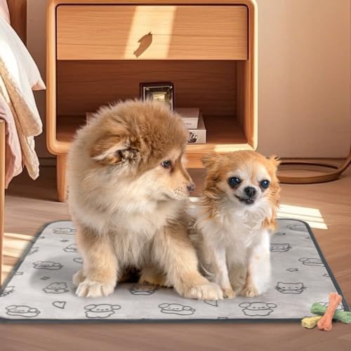 Image of Qeils Reusable Puppy Pads, 2 Pack Washable Pee Pads for Dogs, Waterproof Non Slip Wee Wee pad, Absorbent and Leakproof Training Mats for Potty, Crate, Playpen, Bed, Sofa, 18 inchx 24 inch