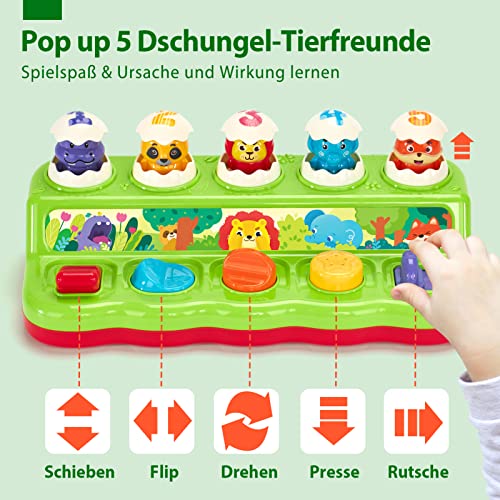 hahaland Baby Spielzeug ab 1 Jahr mit Musik & Licht,Pop up Kinderspielzeug mit Tieren und Knöpfen,Montessori Spielzeug für Frühe Entwicklung Ursache und Wirkung, Motorikspielzeug ab 1 Jahr