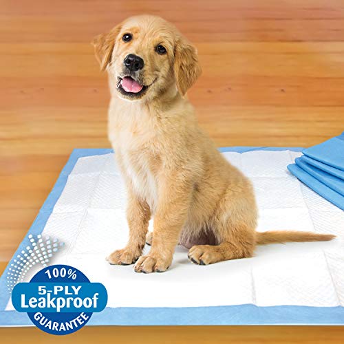 Four Paws Pet Select Pee Pee Pads For Dogs And Puppies 30 Count Standard: 22" X 22" #TOP3