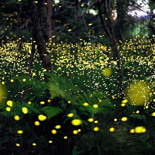 Roshni Ke Jugnu , Part - 2