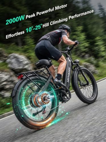tokera 2000W All-Terrain Fat Tire Ebike