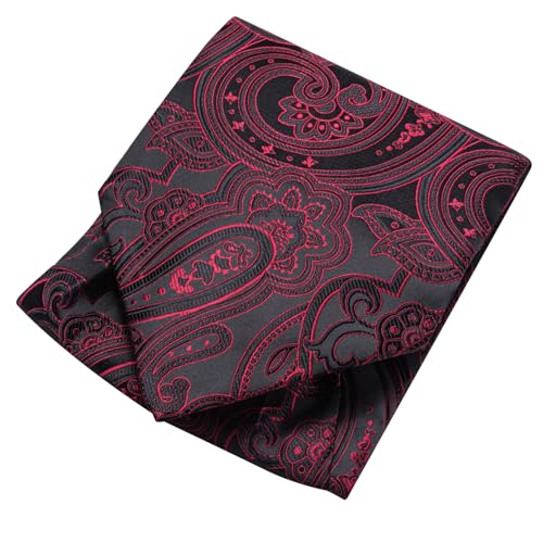 Image of Dubulle Paisley Floral Ascot for Men Self Tie Mens Cravat and Pocket Square Cufflinks Wedding