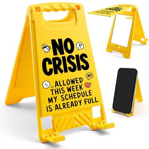 HRPHRP Office Desk Decor Desk Accessories - Funny Boss Coworker Employee Bosses Day Gifts Cubicle Decor Gag Gifts for Women Men Teacher Nurse Principal Appreciation Gifts Lady Work Desk Signs