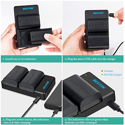 Beston 2-Pack Lp-E6 Lp-E6N Battery And Charger For Canon Eos R 6D 7D 60D 70D 80D 90D, 5D Mark Ii Iii Iv, 6D Mark Ii, 7D Mark Ii, 5Ds R, Xc10 Xc15 Camera #TOP5