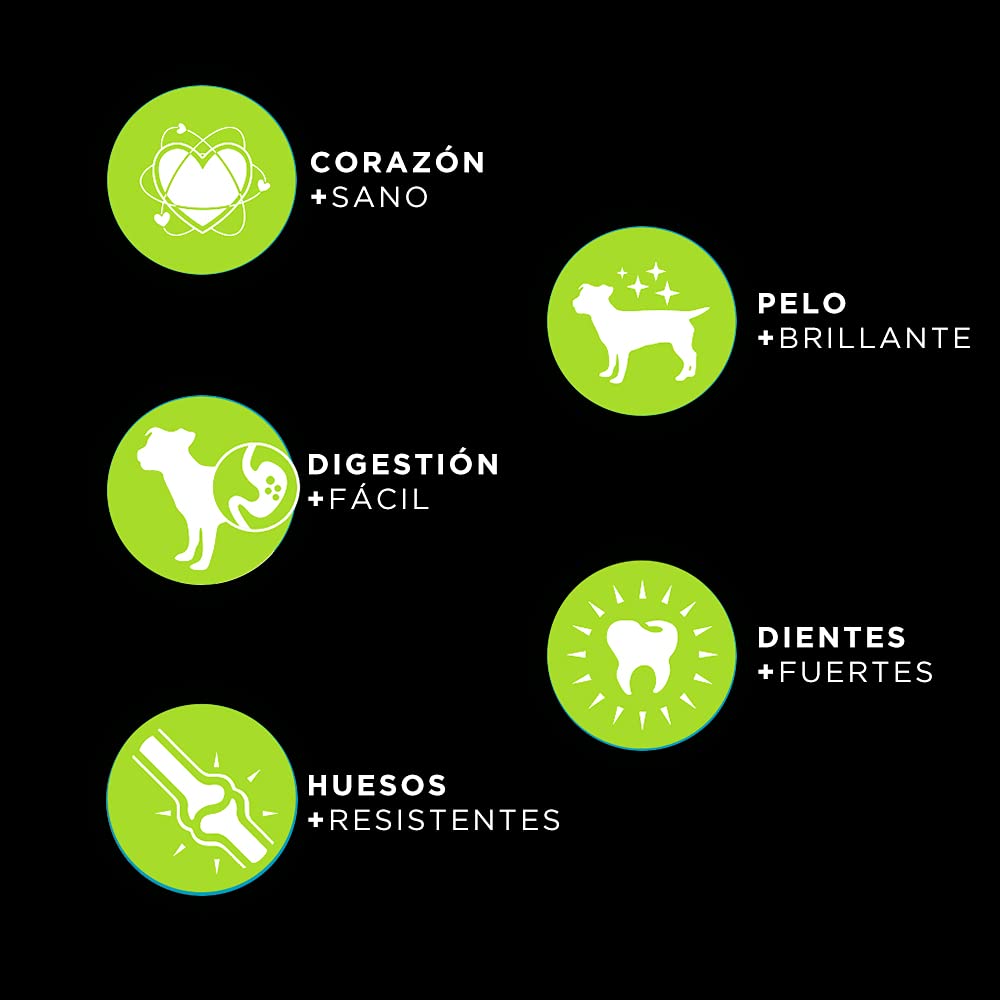 Pienso para Perros para Todas Las Razas y tamaños Rico en Pollo Alimento seco para Perros 20 kg Canun Complet Daily Maintenance