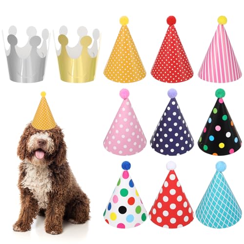 LIQWEI Conjunto de 11 chapéus de festa de aniversário, aniversários infantis coloridos, gorros com pompom, chapéu de festa, decoração de festa de aniversário, coroa, decoração para festas