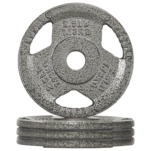 Image of Fitvids Cast Iron 1-Inch Standard Weight Plate for Strength Training & Weightlifting, Multiple Weights Available