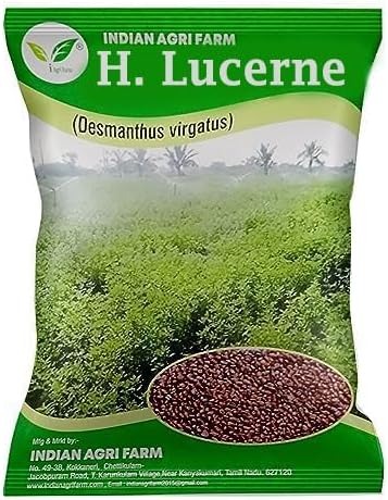 H.Lucerne/Velimasal/Dashrath Ghas/Desmanthus Fodder Seeds - 250 gram - Multicut for Fodder Cultivation