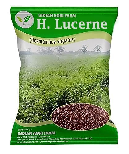 H.Lucerne/Velimasal/Dashrath Ghas/Desmanthus Fodder Seeds - 250 gram - Multicut for Fodder Cultivation