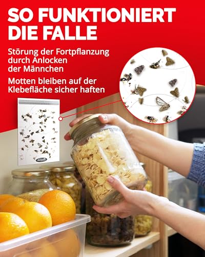 Aeroxon Lebensmittelmotten Falle, 6 Stück Pheromonfallen gegen Motten – Ansicht 3