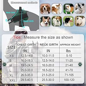 Bolux-Dog-Harness-No-Pull-Reflective-Dog-Vest-Breathable-Adjustable-Pet-Harness-with-Handle-for-Outdoor-Walking-No-More-Pulling-Tugging-or-Choking-Dark-green-M - Cucciolini Doodles   Bolux-Dog-Harness-No-Pull-Reflective-Dog-Vest-Breathable-Adjustable-Pet-Harness-with-Handle-for-Outdoor-Walking-No-More-Pulling-Tugging-or-Choking-Dark-green-M