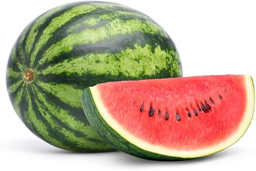 Miniatura 2 de Semillas de sandía dulce carmesí para plantar, más de 150 semillas tradicionales por paquete, semillas de jardín de Isla (semillas de jardín de