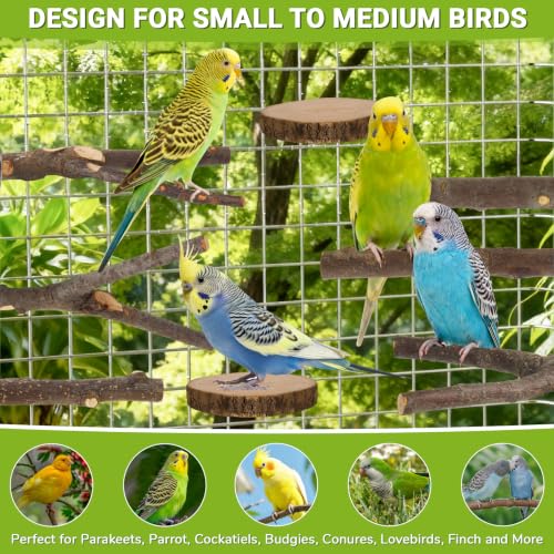 Image of 8 Pack Natural Wood Bird Perches for Cage, Wooden Parrot Perch | Wooden Parrot Stand Platforms, Hardwood Branches, Climbing & Chew Toy for Bird Cage Accessories, Ideal for Parakeets, Budgies