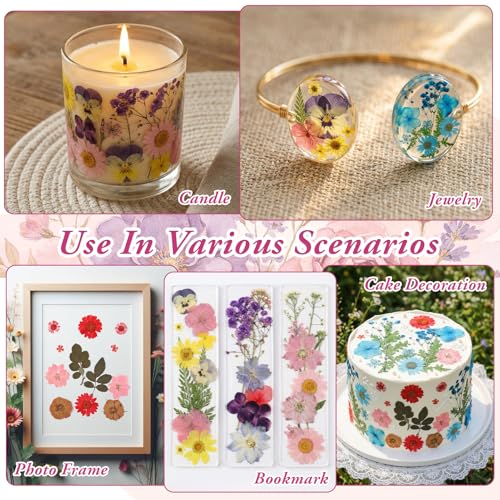 Kit artesanal con 130 flores prensadas secas y stickers miniatura 7