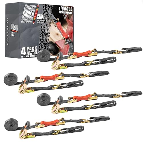 SHOCKSTRAP Ratchet Strap, 10' x 1