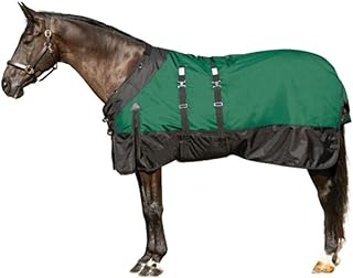 STORM SHIELD Extreme Horse Turnout Blanket | Medium Weight - 220 Grams | Size 72 - Green | 1680 Denier | Contour Collar | Euro Fit | Bellyband | Waterproof, Windproof & Breathable