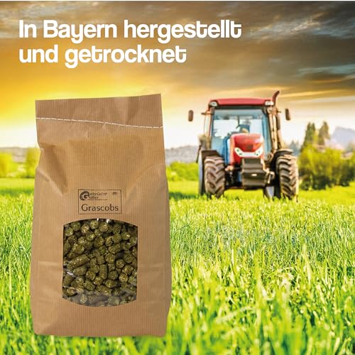 Gebrüder Goller 25kg Grascobs als Pferdefutter - Staubfreier Heuersatz mit natürlichen Inhaltsstoffen & hohem Rohfaseranteil - Futterpellets schonend Warmluftgetrocknet - direkt aus Bayern