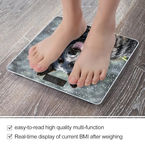 Báscula Digital de Baño VTCTOASY, Capacidad 400 lb miniatura 5