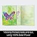 Tree-Free Greetings - All Occasion Cards - Artful Designs - 12 Greeting Cards + White Envelopes - Made in USA - 100% Recycled Paper - 4 x 6 - Vibrant Butterfly (FS56699)