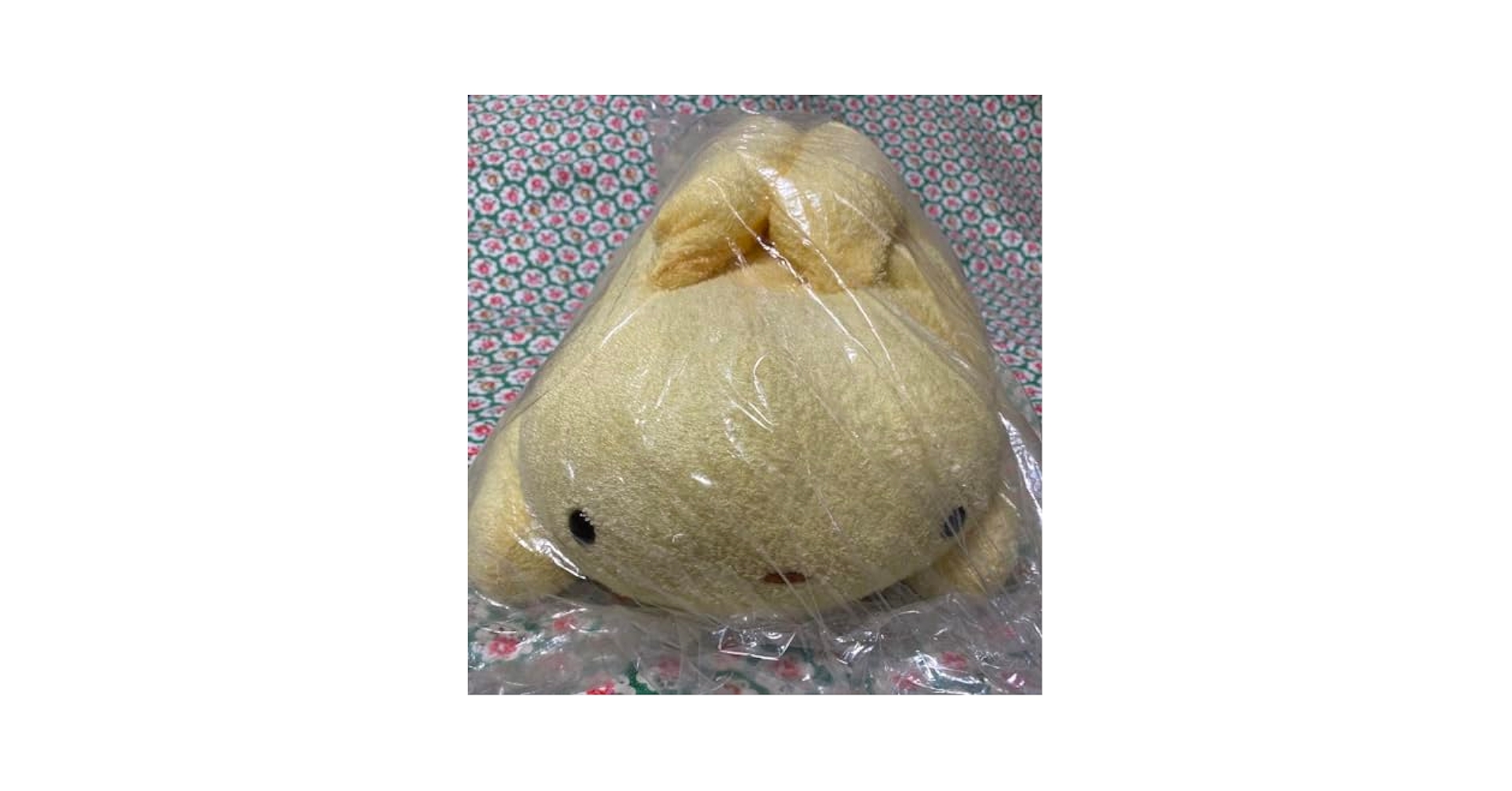 まつもと フリッカ fricca ぬくまろせらぴ ゾウ うさぎ