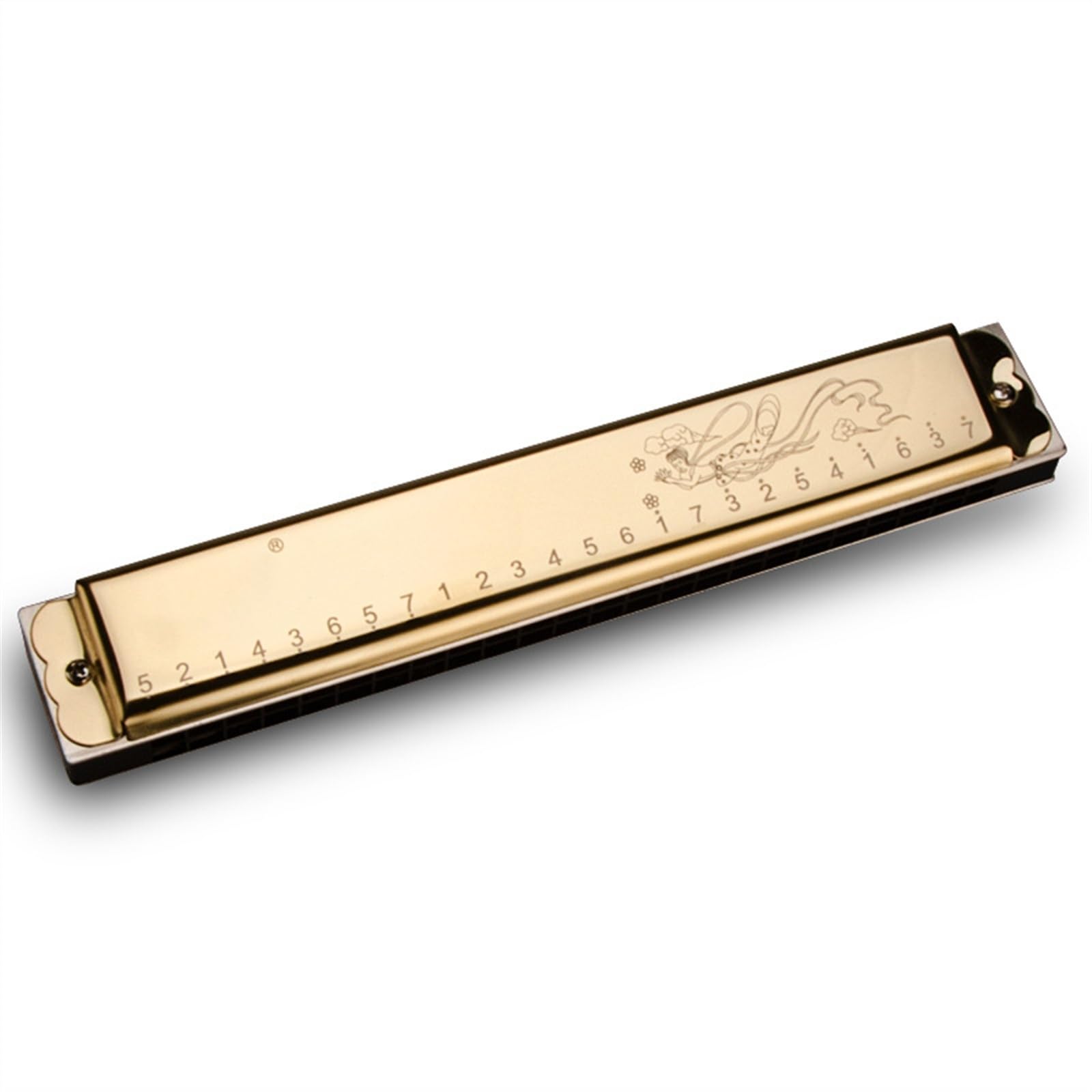 Mundharmonika Professionelle polyphone 24-Loch-Mundharmonika(Silver-C)