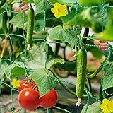 HUTHIM Ranknetz für Tomaten Gurken Kletterpflanzen, Rankhilfe mit Großer Maschenweite 2x7.5m, Mit 18 Pflanzenclips 12 Pflanzenbindern 20m Linie, Rankhilfe Für Balkone, Gärten, Gewächshaus zubehör