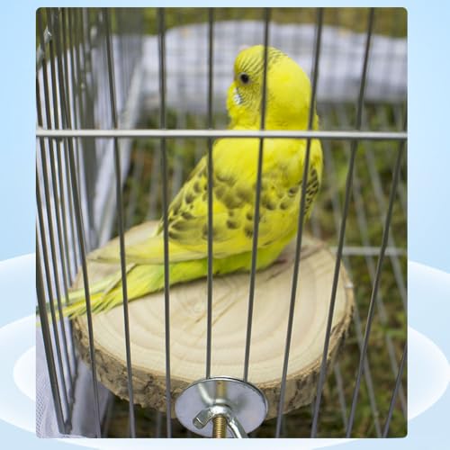 Image of 5PCS Natural Wood Stand 2 Wooden Platform 1 Swing 1 Grape Stick Paw Grinding Fork 1 Azalea Wood Stand Cage Accessortes for Birds