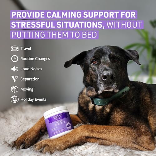 Image of Veterinary Formula Smart Vitality Pet Calm Supplement for Dogs - Soft Chews, 100ct - Promotes a Sense of Relaxation During Moments that May Cause Stress - Fireworks, Travel, Changes in Routine