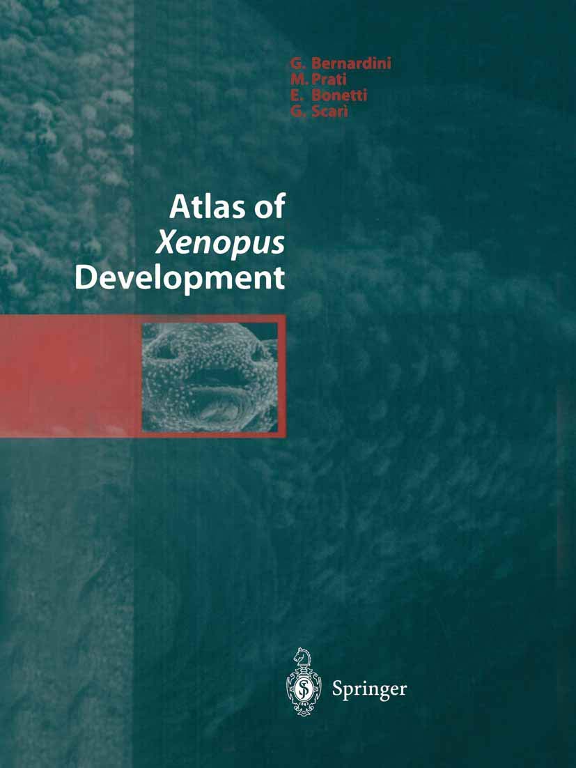 Atlas of Xenopus Development