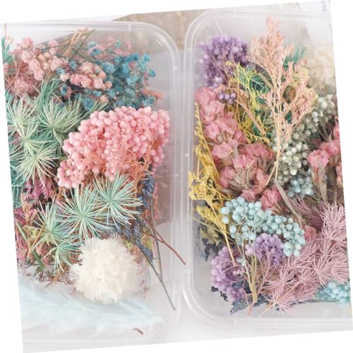 IMIKEYA 4 Caixas Flores secas de aromaterapia flores fazendo sabão jóias a granel prego pressionado