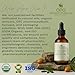 Jojoba Oil - Pure, Cold Pressed, Unrefined, Virgin Hydrating & Moisturizing Carrier Oil for Skin, Hair, Face, Facial Care, Body, Massage, Ear, Beard, Makeup Remover - 4 oz Glass & Dropper - OPO