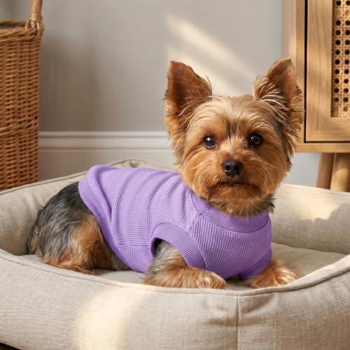 Image of 1 Pack Dog Shirt for Small Supplies Functional Waffle Dog Clothes Warm Soft Sweatshirt Outfit for Dogs Cats Pet Apparel